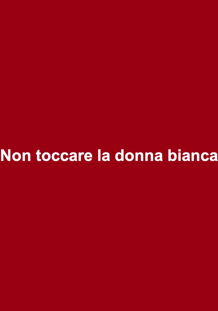 Frasi del film Non toccare la donna bianca