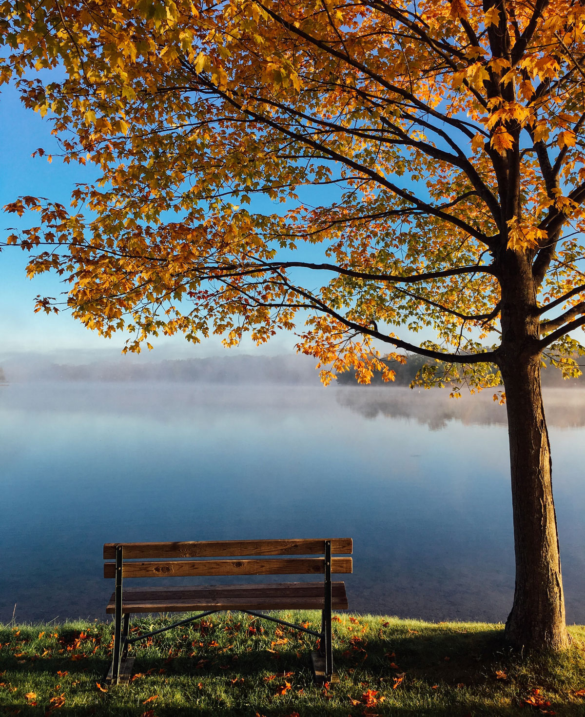 autunno  - panchina vicina al lago