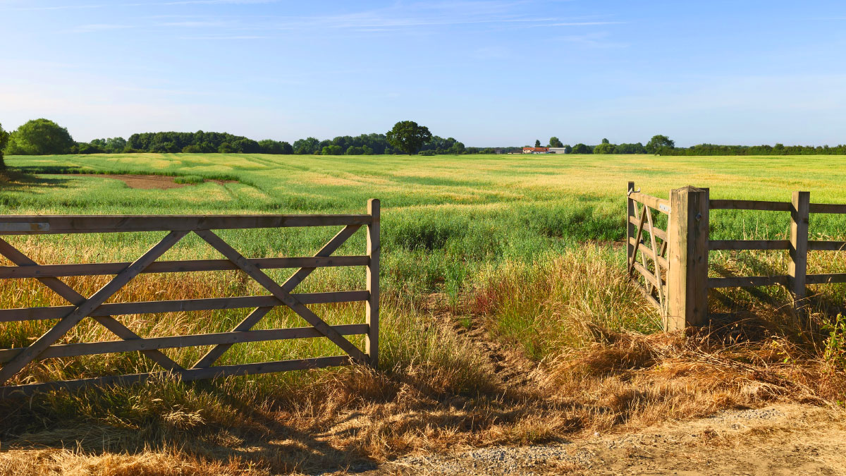 cancello recinto aperto in campagna