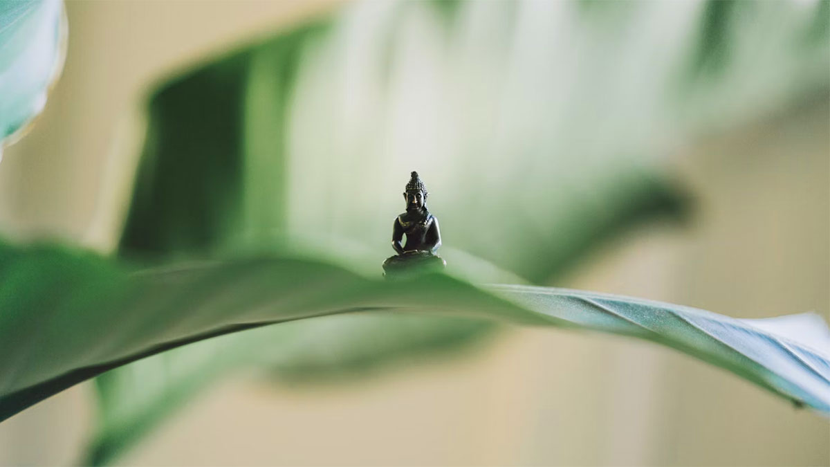 coscienza - piccolo buddha su una foglia