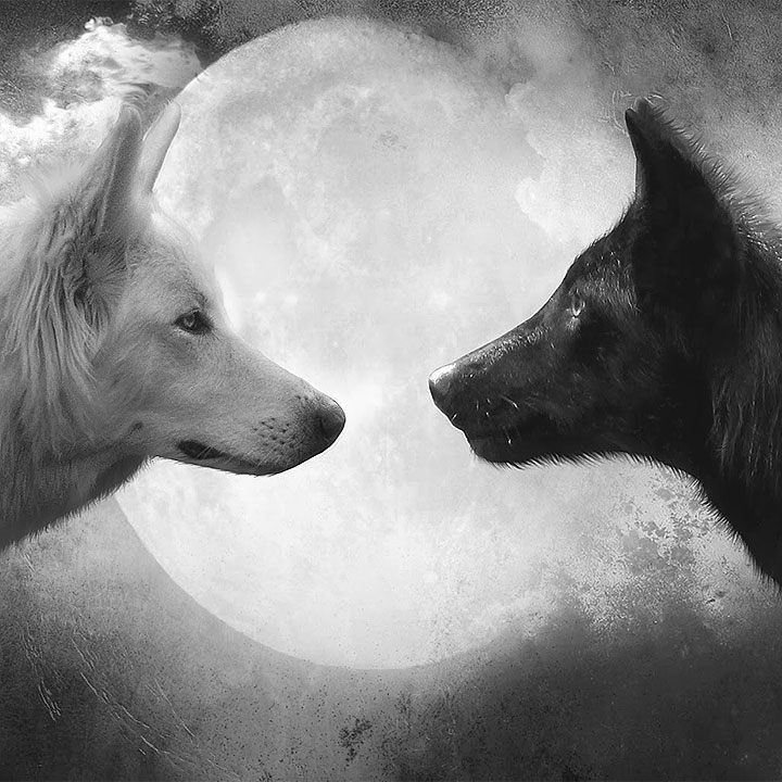 Il lupo nero e il lupo bianco (leggenda Cherokee)