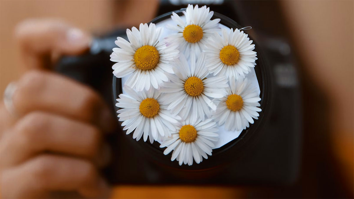 macchina foto con fiori margherite