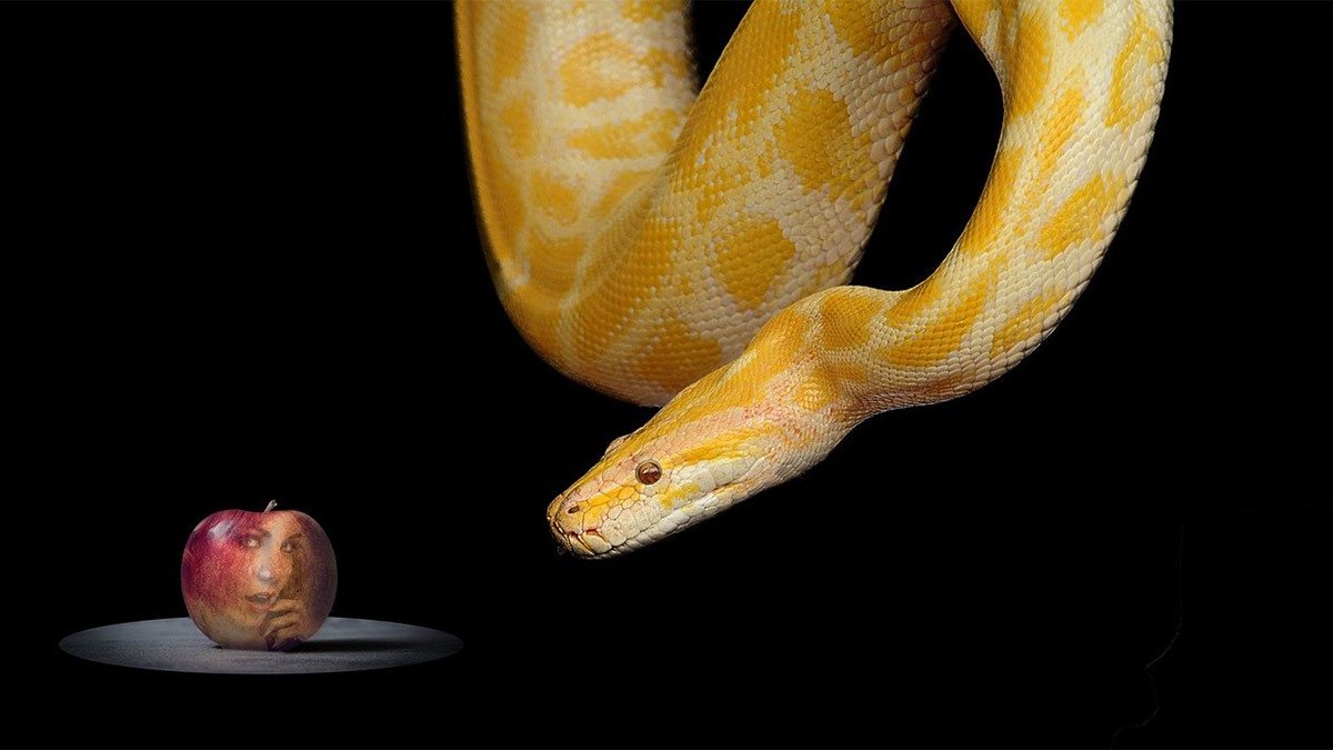 mela e serpente
