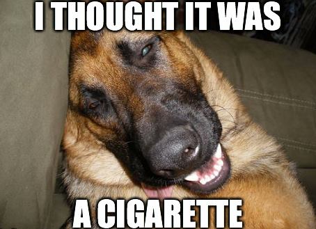 I thought it was a cigarette