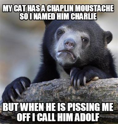 My cat has a Chaplin moustache so I named him Charlie.
But when he is pissing me off I call him Adolf.