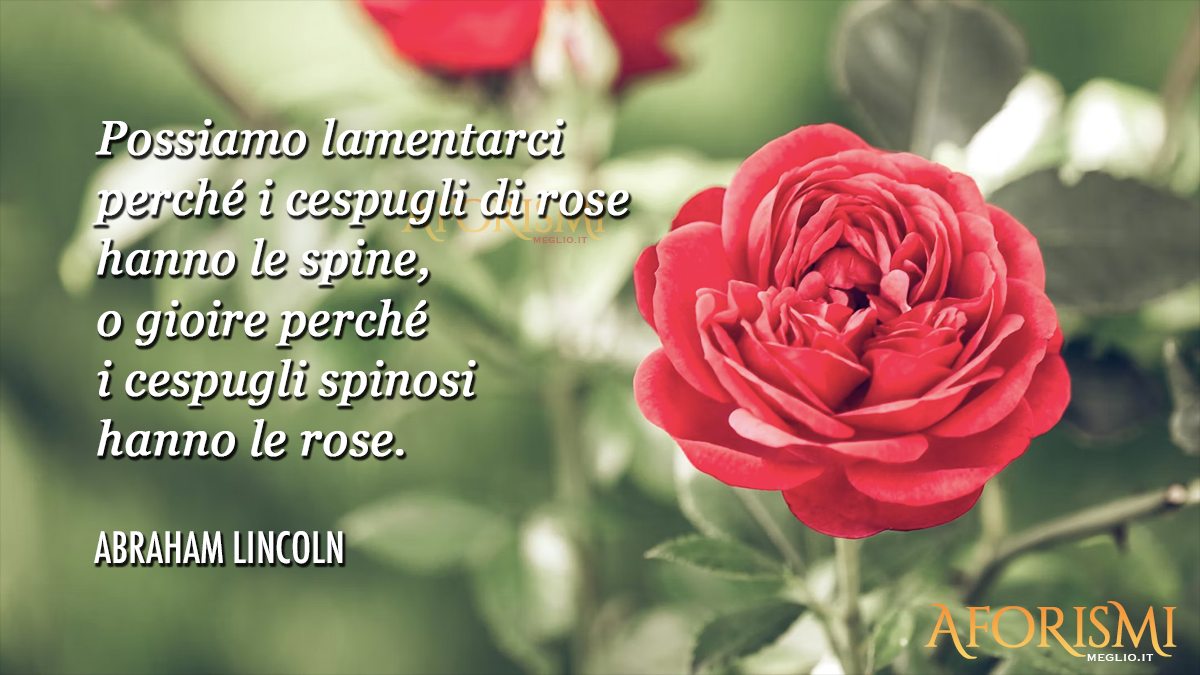 Possiamo lamentarci perché i cespugli di rose hanno le spine, o gioire perché i cespugli spinosi hanno le rose.